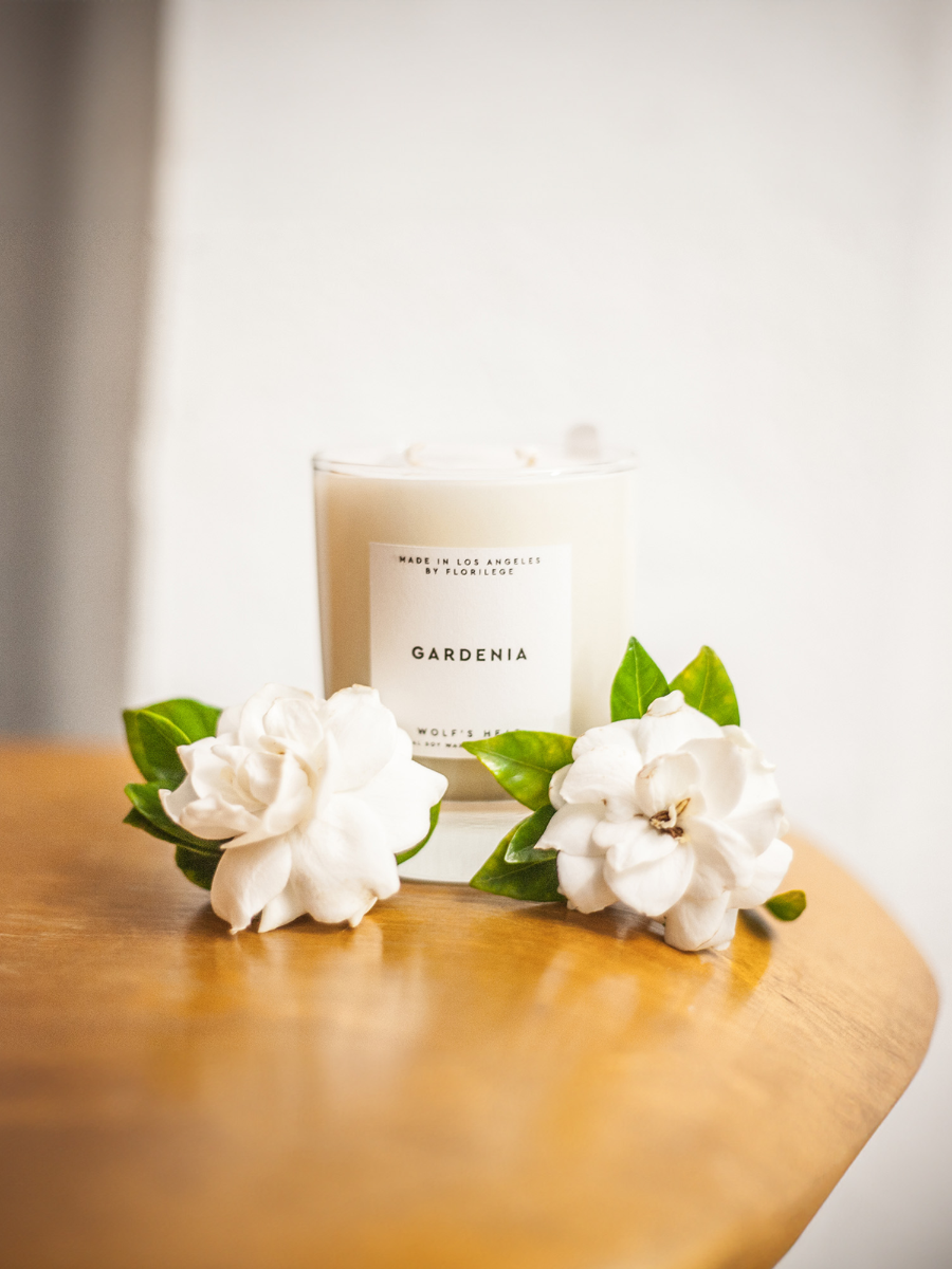 Wolf’s Head Gardenia Candle sitting on wooden chair. natural soy-based candle with a clean burn and subtle floral scent. A California-made essential for refined, everyday atmosphere.