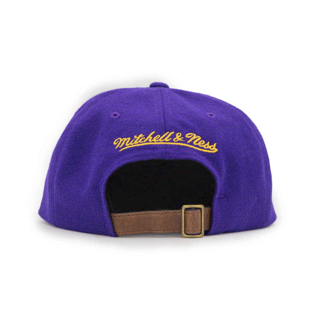 Mitchell & Ness Los Angeles Lakers Hardwood Classics Purple Wool Hat