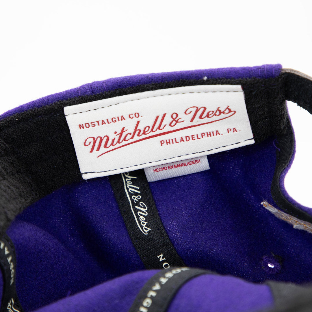 Mitchell & Ness Los Angeles Lakers Hardwood Classics Purple Wool Hat